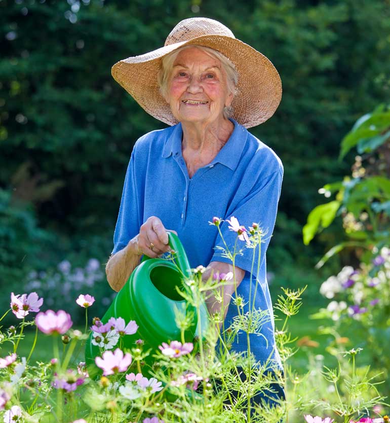An elderly woman in a blue shirt and straw hat is watering flowers in a lush garden with a green watering can.